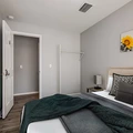 Coliving in Ybor City - Central Tampa, Tampa