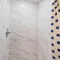 Coliving in Forest Hills Tampa - North Tampa, Tampa