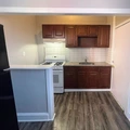 1 bedroom apartment for rent in Glenwood - North Philadelphia, Philadelphia