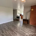 1 bedroom apartment for rent in East Colorado Springs - East COS, Colorado Springs