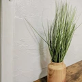 Coliving in Kenwood - Clearwater-St. Petersburg, Tampa