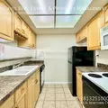 1 bedroom apartment for rent in Town 'n' Country - West Tampa, Tampa