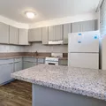 1 bedroom apartment for rent in Kapahulu - Waikiki-Diamond Head, Honolulu