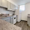 1 bedroom apartment for rent in Kapahulu - Waikiki-Diamond Head, Honolulu