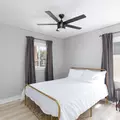 Coliving in Las Vegas - Las Vegas, Las Vegas