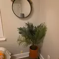 Coliving in East Durham - Durham, Raleigh