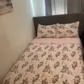 Coliving in Central Southwest - Sw Houston, Houston