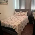 Coliving in Central Southwest - Sw Houston, Houston