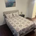 Coliving in Central Southwest - Sw Houston, Houston