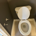 Coliving in Idlewild South - East Charlotte, Charlotte