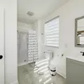 Coliving in Hollygrove - Uptown & Carrollton, New Orleans