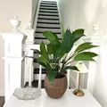 Coliving in Highland Park Southern Tip - North RVA, Richmond