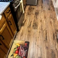 Coliving in North Baltimore - Baltimore Metro Area, Washington DC