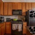 1 bedroom apartment for rent in River West - Central, Chicago
