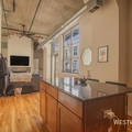 1 bedroom apartment for rent in River West - Central, Chicago