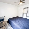 Coliving in University Square - North Tampa, Tampa