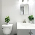 Coliving in University Square - North Tampa, Tampa