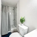 Coliving in University Square - North Tampa, Tampa