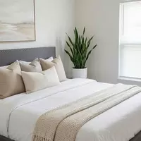Coliving in Tampa Heights - Central Tampa, Tampa