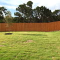 Coliving in North Lamar - North Austin, Austin