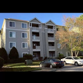 Coliving in Fairmont - Central Raleigh, Raleigh
