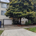 2 bedrooms apartment for rent in Ballard - North Seattle, Seattle