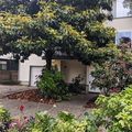 2 bedrooms apartment for rent in Ballard - North Seattle, Seattle