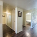 Coliving in Plano - North Dfw, Dallas