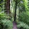 Coliving in Northwest District - NW Portland, Portland