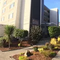 2 bedrooms apartment for rent in University District - North Seattle, Seattle
