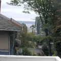 2 bedrooms apartment for rent in Central District - Central Seattle, Seattle