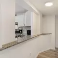 Coliving in Sarasota - Sarasota, Sarasota