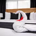 Coliving in Las Vegas - Las Vegas, Las Vegas