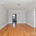 1 bedroom apartment for rent in Fuller Park - South Side, Chicago
