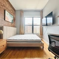 Coliving in Prospect Lefferts Gardens - Brooklyn, New York