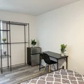 Coliving in University Square - North Tampa, Tampa