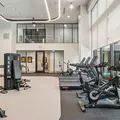 Coliving in Cherry - Central Charlotte, Charlotte