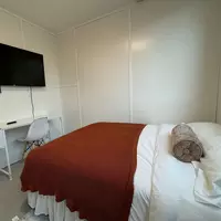 Coliving in Downtown Austin - Central Austin, Austin