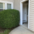 Coliving in Wade - Central Raleigh, Raleigh