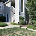 Coliving in Wade - Central Raleigh, Raleigh