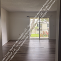 1 bedroom apartment for rent in Azalea Park - East Orlando, Orlando
