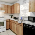 Coliving in University Square - North Tampa, Tampa