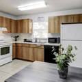 Coliving in University Square - North Tampa, Tampa