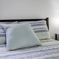 Coliving in University Square - North Tampa, Tampa