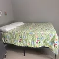 Coliving in Delaney Park - Central Orlando, Orlando