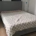Coliving in Midtown Houston - Inner Loop, Houston