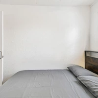 Coliving in Kenwood - Clearwater-St. Petersburg, Tampa