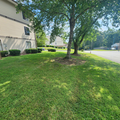 Coliving in High Point - High Point, Greensboro