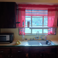 Coliving in Alamo Heights - Central SATX, San Antonio