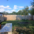 Coliving in Alamo Heights - Central SATX, San Antonio